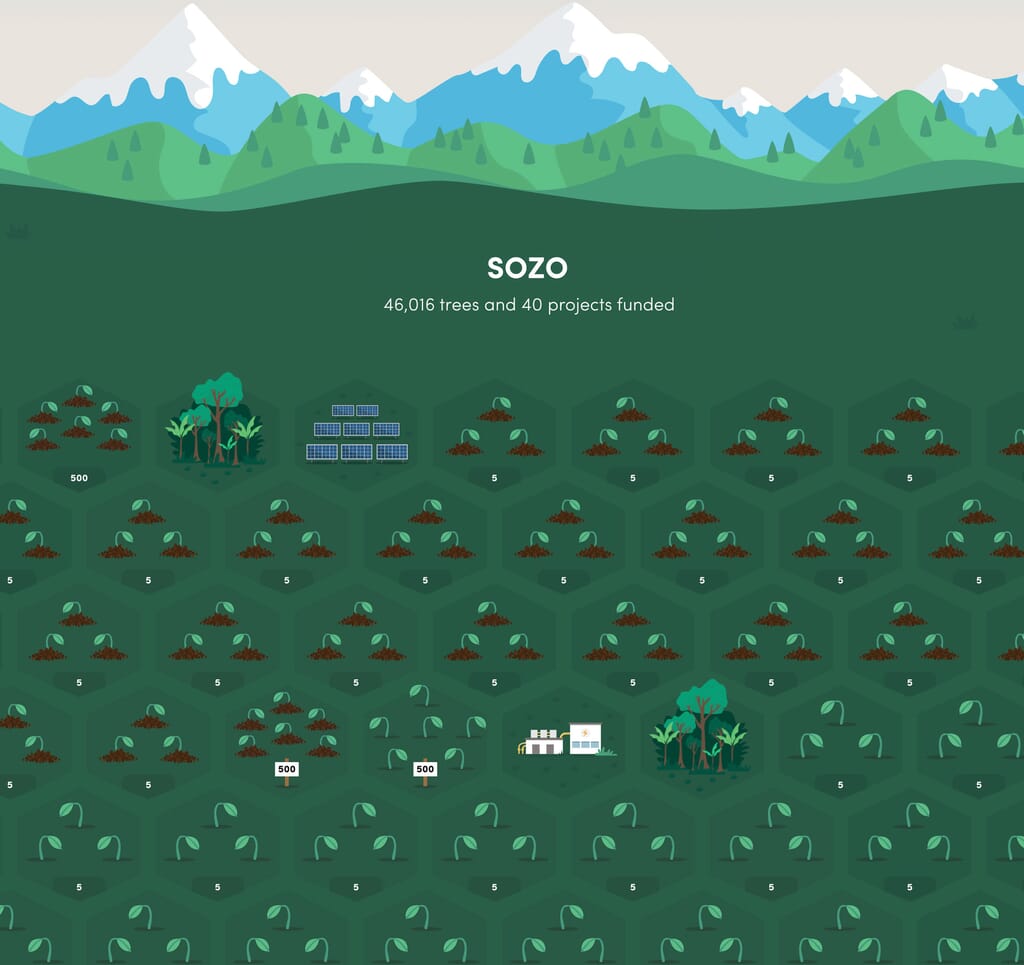 Sozo-forest-for-sustainable-websites.jpg?w=1024&h=965&scale