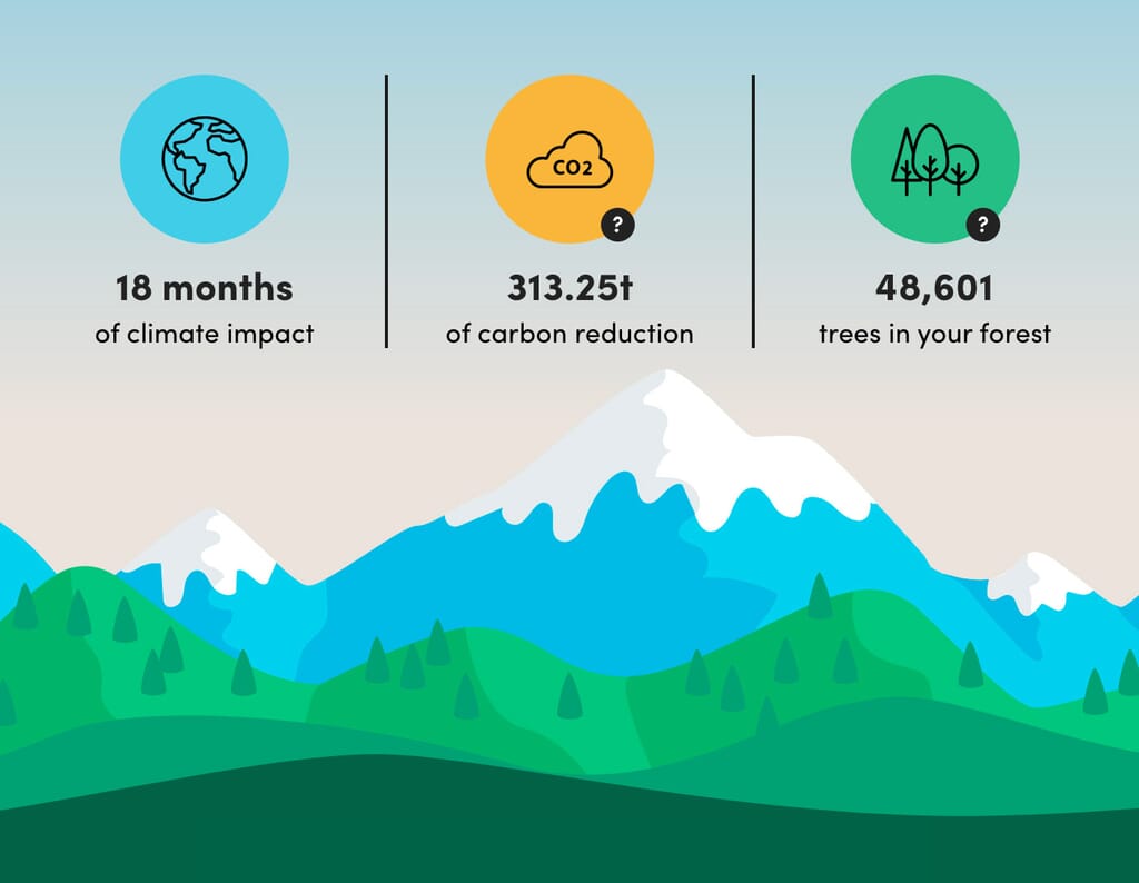 Sozo-forest-stats.jpg?w=1024&h=794&scale